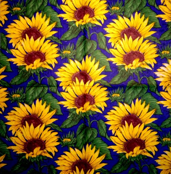 173 Sunflowers - 3-ply - Ihr